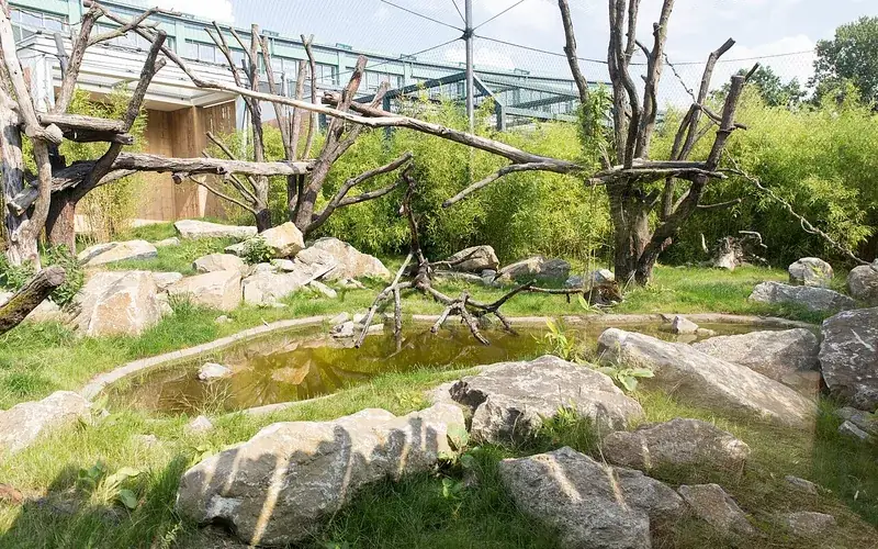 Rénovation de l'habitat ancien à Reims : gérer l'amiante