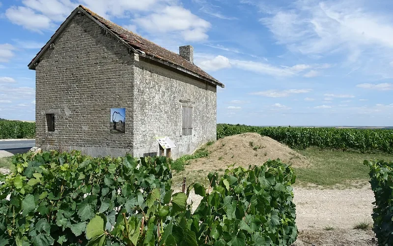 Amiante dans les bâtiments du vignoble champenois